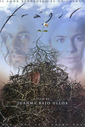 Poster de Filme Frágil (2005)