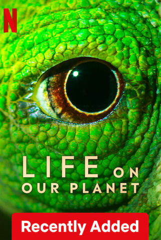Poster 6 de Série A Vida no Nosso Planeta (2023)