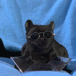 Foto de perfil de Sérgio Kinjiro