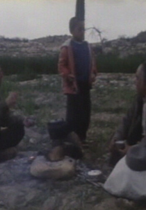 A Escola que foi Levada pelo Vento (Madresei keh baad bord)