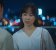 14회