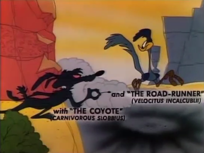 Foto 5 de Fastest with the Mostest