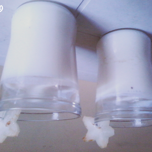 Foto de perfil de Thaisa Feitosa