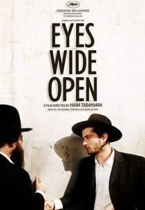 Pecado da Carne (Einayim Petukhoth)