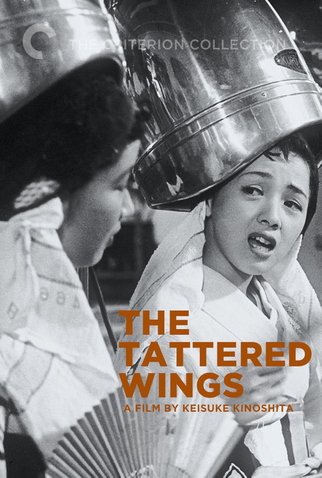Poster 1 de Filme The Tattered Wings (1955)