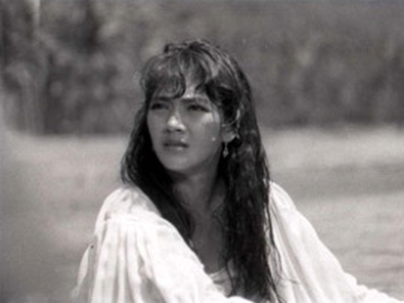 Foto 1 de Virgin Forest 