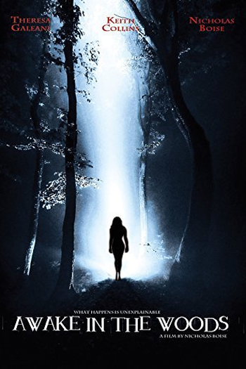 Poster de Filme Awake in the Woods (2015)