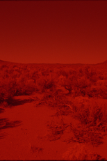 025 SUNSET RED (025 SUNSET RED)