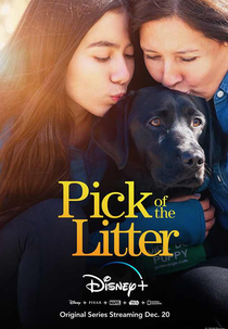 Escola de Cão-Guia (1ª Temporada) (Pick of the Litter (Season 1))