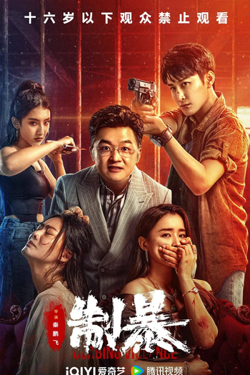 Poster de Filme Curbing Violence (2024)