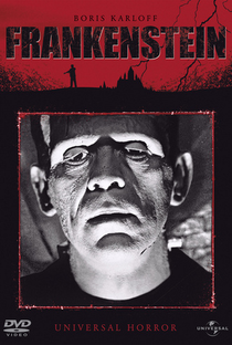 Frankenstein - Poster / Capa / Cartaz - Oficial 20