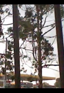 Entrevista com as Coisas (Entrevista com as Coisas)