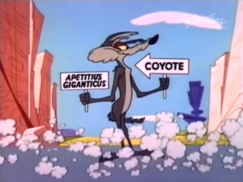 Foto 5 de Bolachas e Sopapos