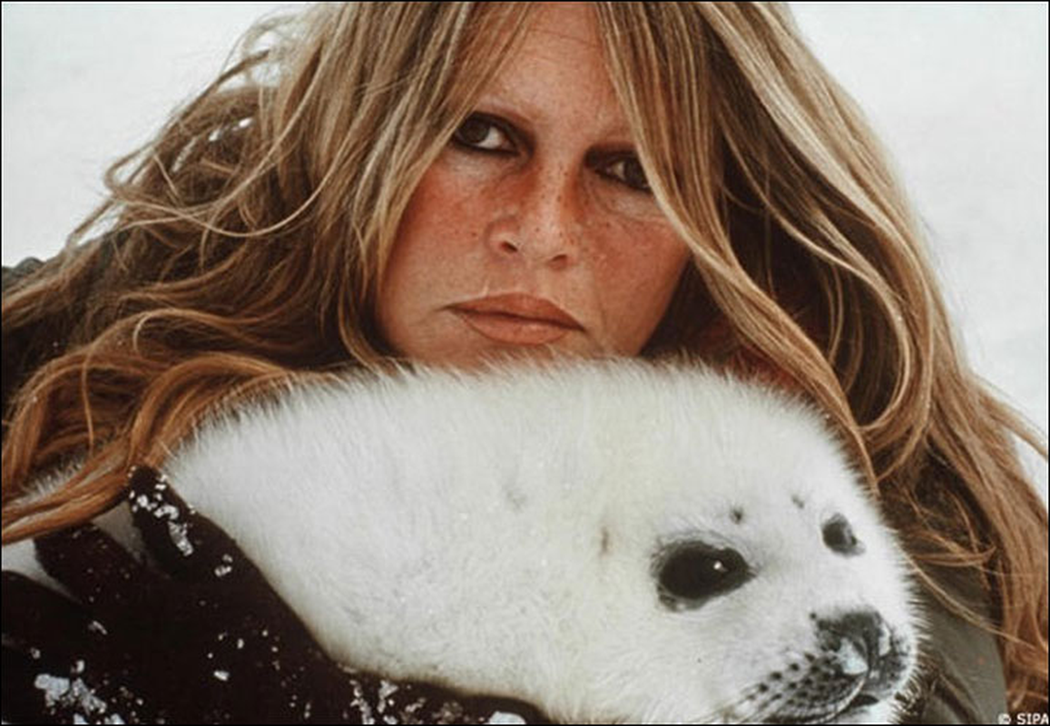 Brigitte Bardot - Foto 17