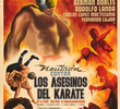 Neutron contra los asesinos del karate