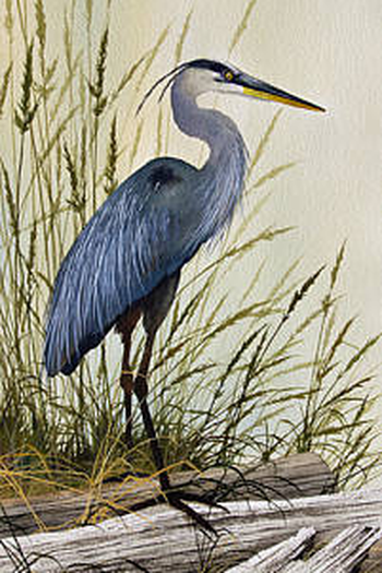 Poster de Filme A Garça (2021)