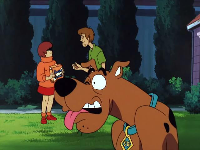 Foto 10 de Scooby-Doo na Ilha dos Zumbis