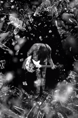 Jack White: Lazaretto (Jack White: Lazaretto)