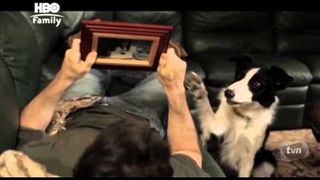 Trailer: O Anjo Cachorro