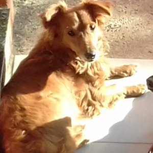 Foto de perfil de Cleiton