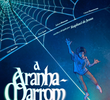 A Aranha-Marrom