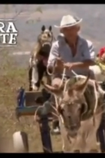 Poster de Curta Câmara Viajante (2007)