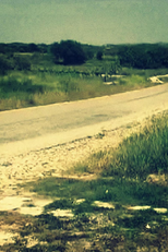 Whether or Not You Believe (Whether or Not You Believe)