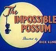The Impossible Possum