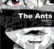 The Ants