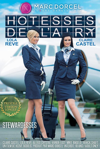 Poster 1 de Filme Aeromoças do Prazer (2015)