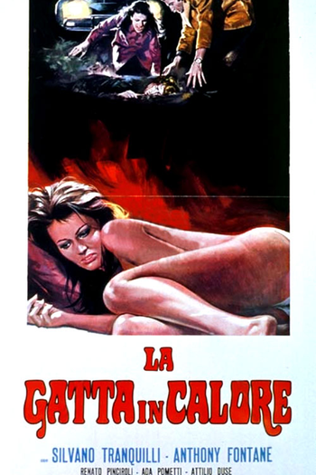 Poster de Filme The Cat in Heat (1972)