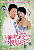 Fated to Love You (Ming Chung Chu Ting Wo Ai Ni)