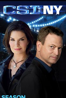 CSI: Nova Iorque (8ª Temporada) - Poster / Capa / Cartaz - Oficial 2