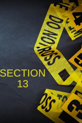 Poster de Franquia Section 13 (2013)
