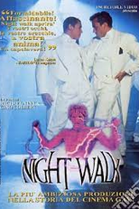 Night Walk: Uma história na hora de dormir. (Night Walk: A Bedtime Story)