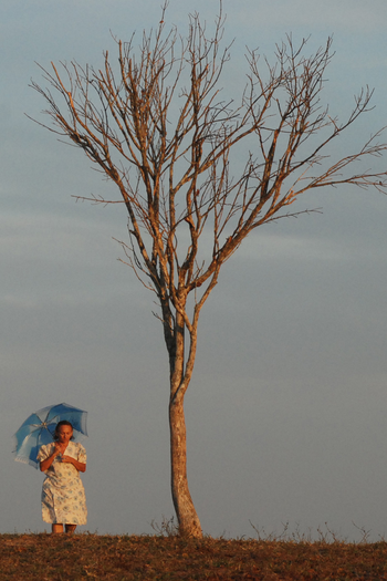 Poster de Curta Azul (2009)