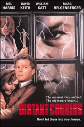 Poster de Filme Domínio de Identidade (1993)