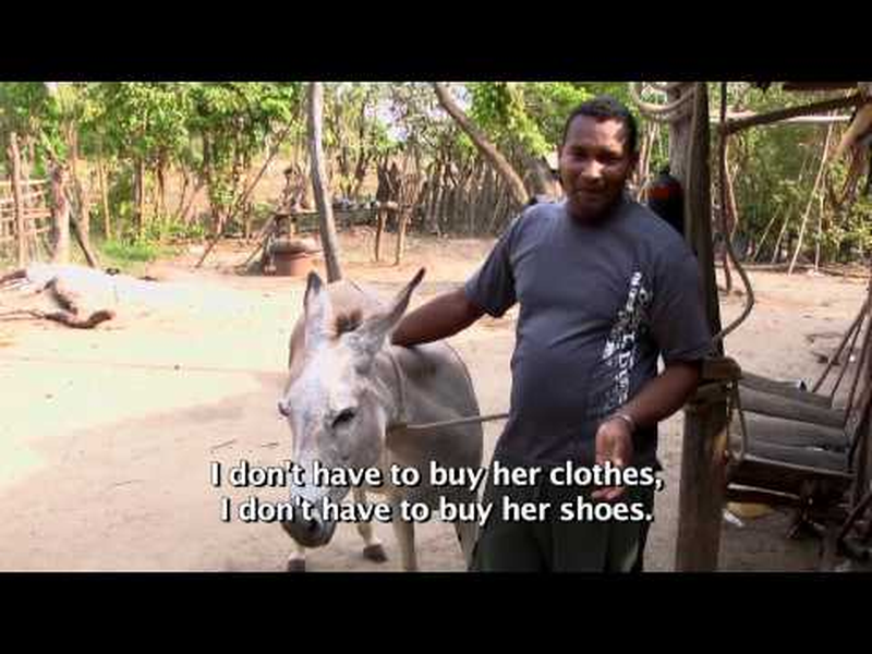 Foto 3 de Donkey Love