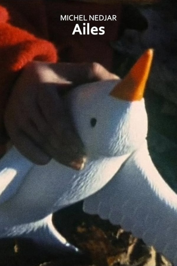 Poster de Curta Ailes (1979)