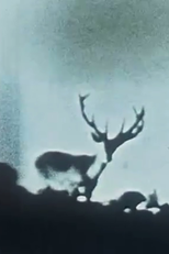 Definitely Sanctus (Definitely Sanctus)