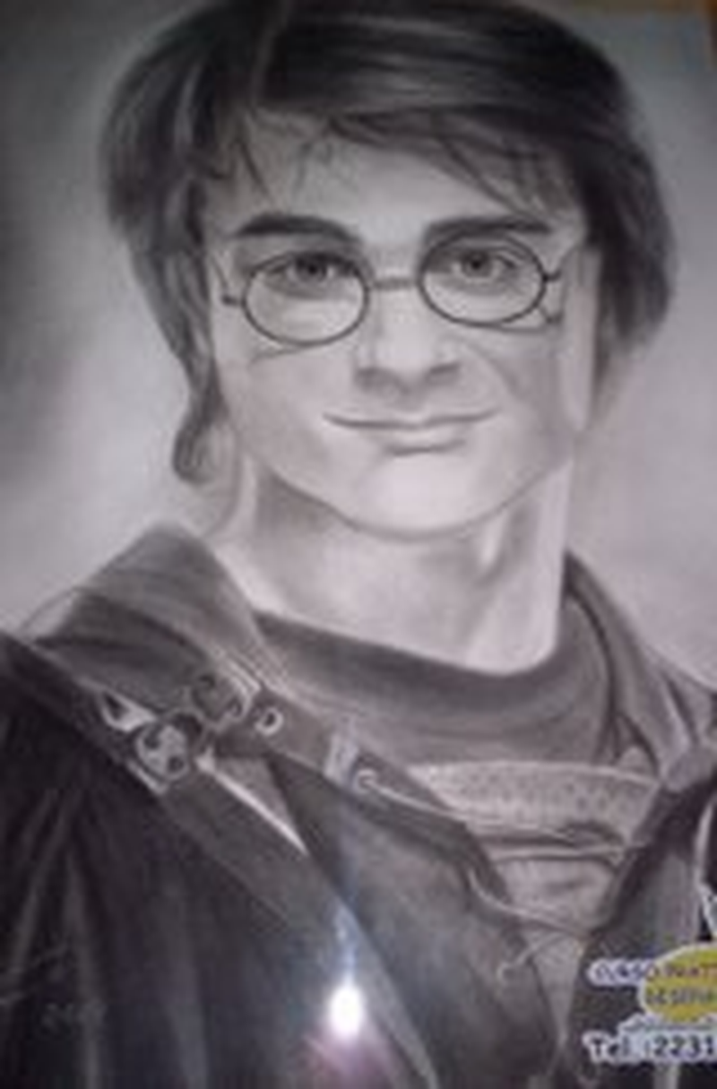 Luis Henrique Raia Vila Nova - Foto 1