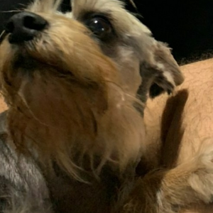 Foto de perfil de Vicente