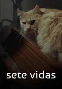 Sete Vidas (Sete Vidas)