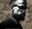 Quem Matou Malcolm X?