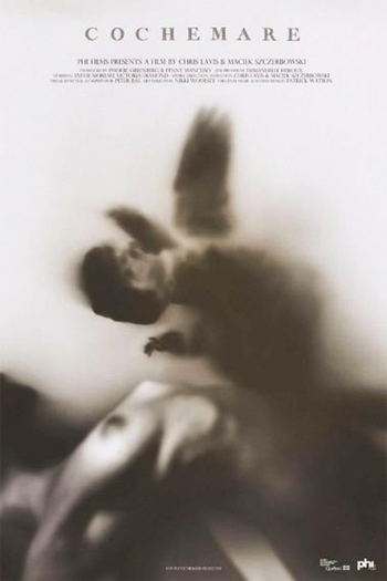 Poster de Curta Cochemare (2013)