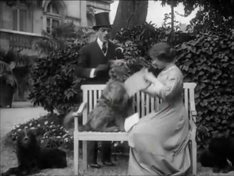 Foto 1 de Max a peur des chiens