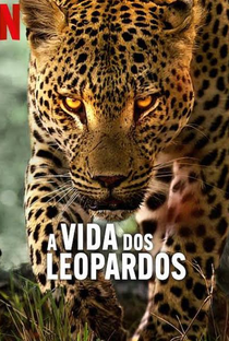 A Vida dos Leopardos - Poster / Capa / Cartaz - Oficial 1