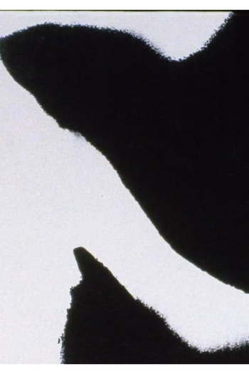 Poster de Curta Errata (2005)