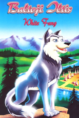 Caninos Brancos (White Fang)