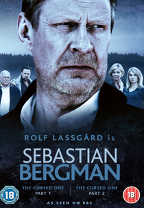 Sebastian Bergman (Den fördömde)
